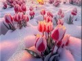 _01-февраль
