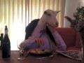 Goat Having Dinner