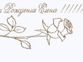 DR-ELENA-плеер