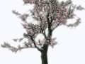 0a998aa04be87f9d5f192fb86225dc19