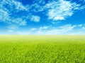 field-wallpaper-5