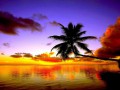 cool-beach-sunset-sun-summer-nature-wallpaper-pc-inspirational-tropical-beach-sunset-wallpaper-hd-co