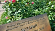 20260729_132805 копия