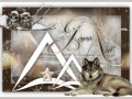21.12.2022 NOEL