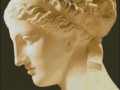 Aphrodita