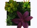 2015-Hot-3D-Potted-Creative-Metope-Succulent-font-b-Plants-b-font-Imitation-Wood-Photo-font