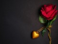 flowers-gift-heart-rose-wallpaper-preview