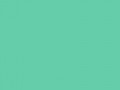 Умеренный аквамариновый	#66CDAA	102	205	170