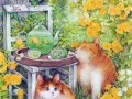 11