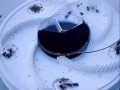 86466274764428-1
