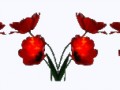 разделитель