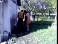 Видеоролики - Приколы - Вася бьет бутылку об голову