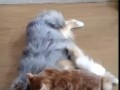 Охота на крупную дичь