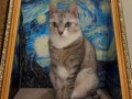 Котик в картине