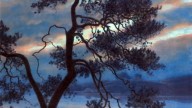 Twilight landscape