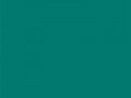 Зеленая сосна	#01796F	1	121	111