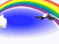 Rainbow animation