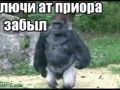 Ключи от приоры забыл