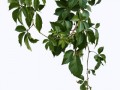 pngwing.com (3) (1)