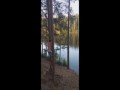 Шлепок с тарзанки