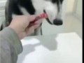 Какой ты подлый, человек!