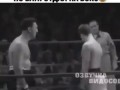 Танцующий боксёр
