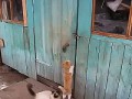 nepablik