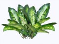 klipartz.com (11)