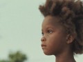 Beasts.of.the.Southern.Wild.2012.DVDRip.Xvid.AC3-TtRG4