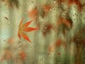 forum_allavatars_ru_rain_2008_7