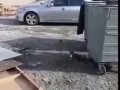 Котейка промахнулся