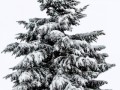 0_a206b_e877d7c4_orig