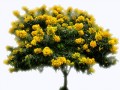 95c2b189b5357690216f9eb2a9324d3e_yapfiles.ru