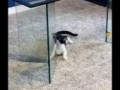 Двигайся вверх"