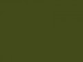 Умеренный оливково-зеленый	#434B1B	67	75	27
