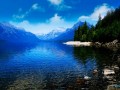 3123146dbax6llH