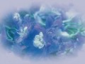 fon_5_1_arnusha