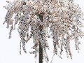 0_168884_8878862b_orig_yapfiles.ru