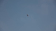 Katastrofa Myśliwca F-16
