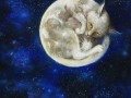 Лунный кот  исполнитель  Наталья  Ветлицкая