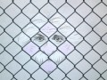 einstein wire