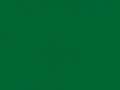 Зеленый Мичиганского университета	#006633	0	102	51