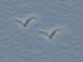 32_4