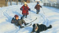 The Ski Team