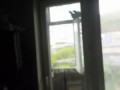 Разборка с голубями на балконе