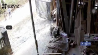 Нападение собаки на ребёнка