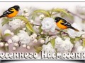 -настроения...весеннего