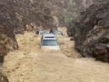 Крузаки идут