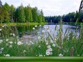 -имени-2_01