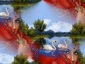 1_arnusha